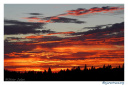 coucher-soleil_charrières