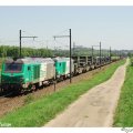 1RMed_train